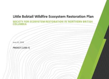 Little_Bobtail_Wildfire_ERP_Report_pg1.jpg