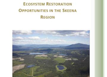 Project_Image2_Opportunites_for_ER_in_Skeena.jpg