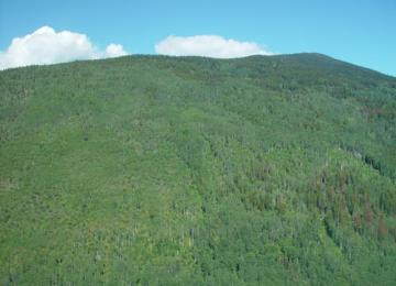 Bevel-Burn-Sites-(Aug-2007)-3-500.jpg