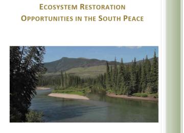 Project_Image2_ER_South_Peace.jpg
