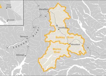 BulkelyMoriceOverview2.jpeg