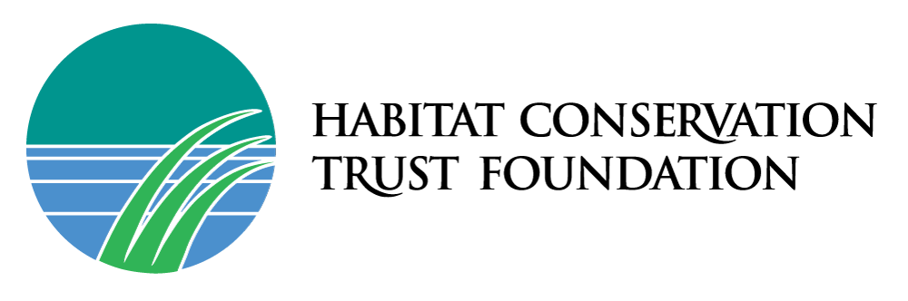HCTF-logo-H